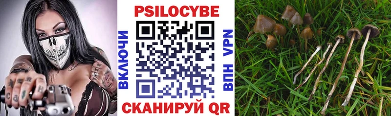 Галлюциногенные грибы GOLDEN TEACHER  что такое   это клад  Дивногорск 