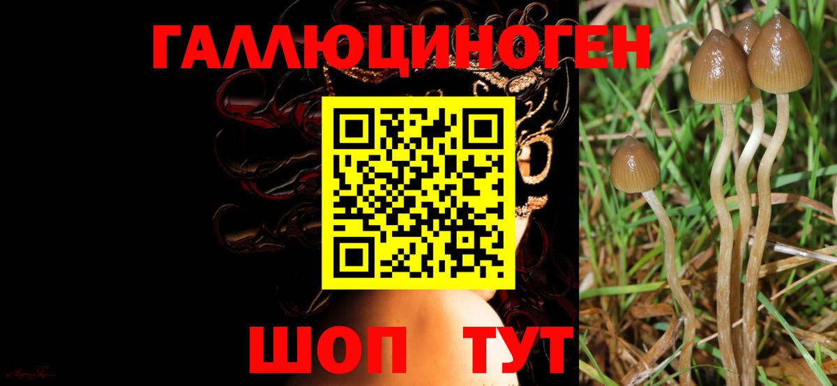 Псилоцибиновые грибы Psilocybe  Вход с VPN  закладки  Дивногорск 