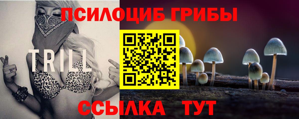 Галлюциногенные грибы Cubensis Дивногорск